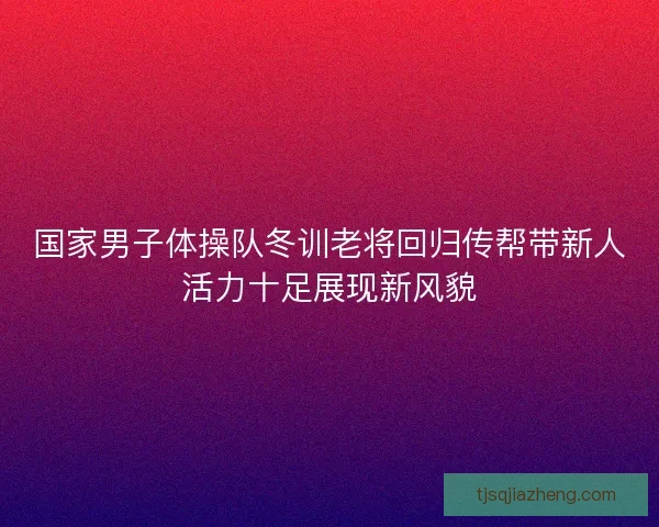 国家男子体操队冬训老将回归传帮带新人活力十足展现新风貌