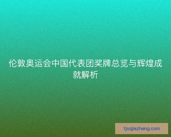 伦敦奥运会中国代表团奖牌总览与辉煌成就解析