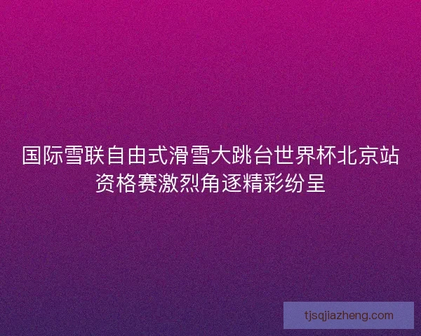 国际雪联自由式滑雪大跳台世界杯北京站资格赛激烈角逐精彩纷呈