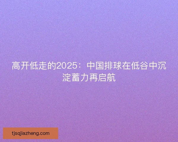 高开低走的2025：中国排球在低谷中沉淀蓄力再启航