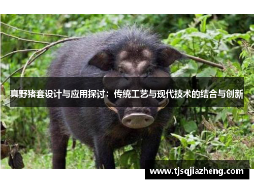 真野猪套设计与应用探讨：传统工艺与现代技术的结合与创新